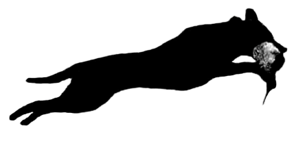 Hrafnsvíkur Labradot LOGO